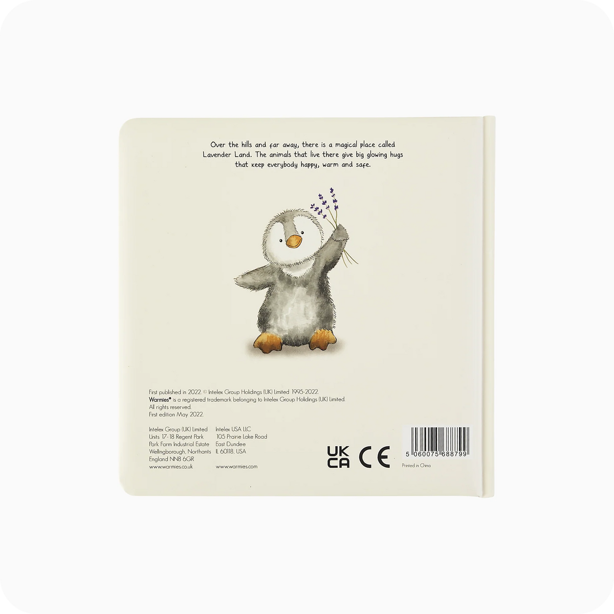 Lost in the Woods Board Book