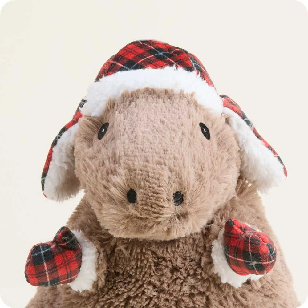 Cozy Capybara Warmies