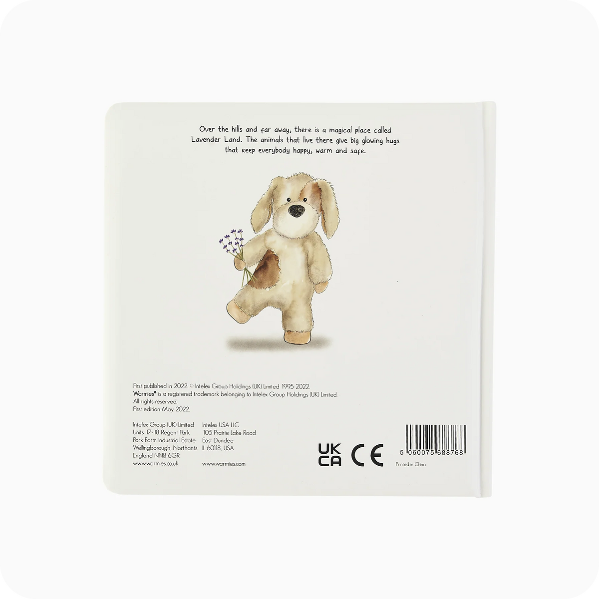 A Special Secret Place Board Book