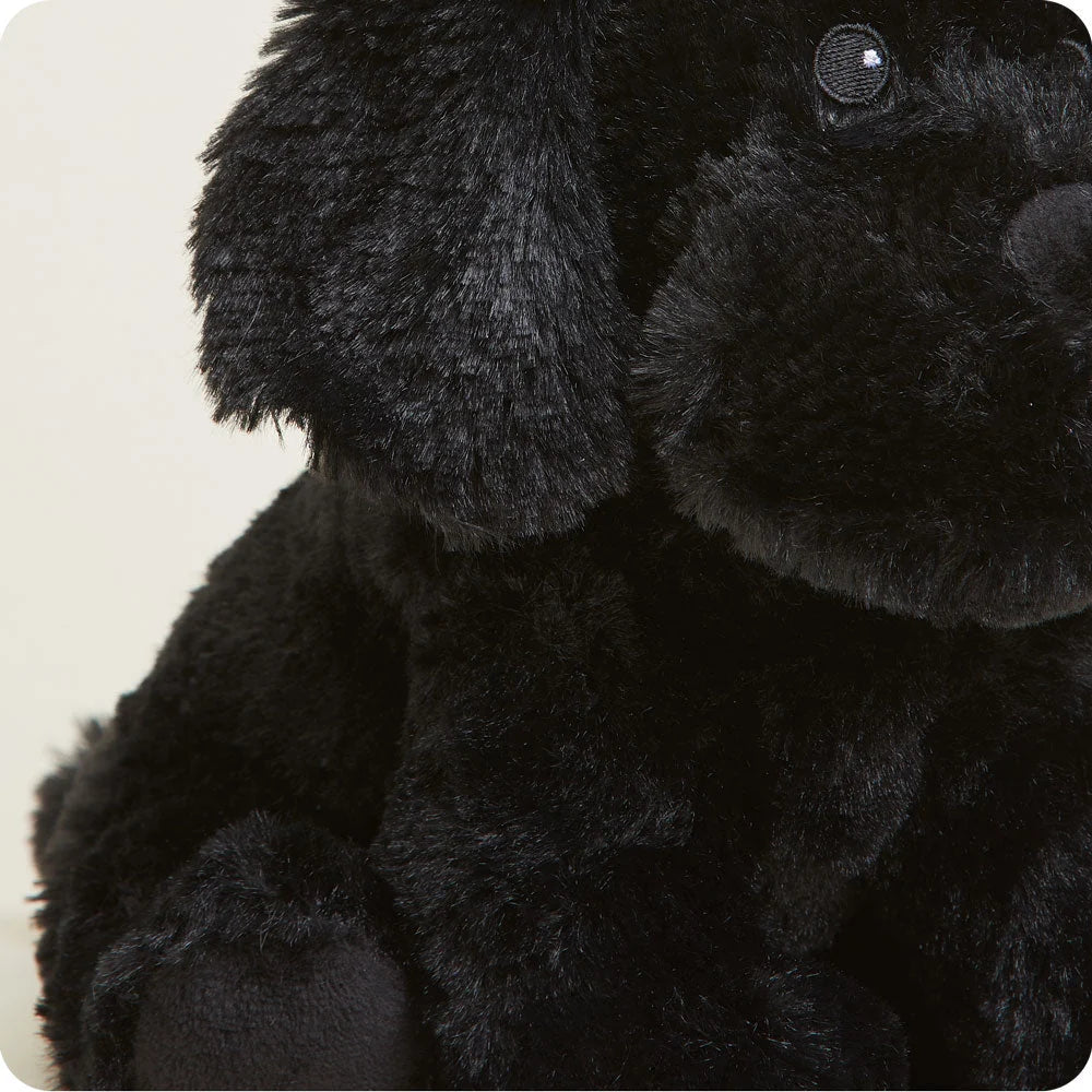 Black Labrador Warmies
